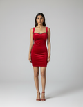 Ruby Velvet Dress
