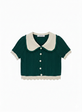 Green Crochet knit Peter Pan Collar Crop Top